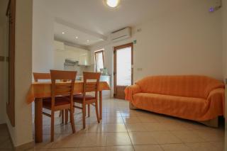 Alenka Green - Novigrad - 2