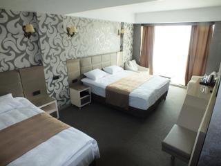 Colonia Park Otel - Şebinkarahisar - 4