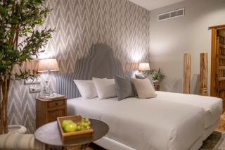 Hotel Cetina Palacio de los Salcedo - 6