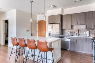 Waltham 2br w gym in-unit wd near dining BOS-971 - 7