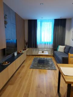 Zlatni javor Apartman 401 - 3