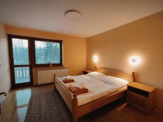 Rooms and Apartments Panker - Moravske-Toplice - 7