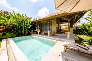 Nyaman Villas by EVDEkimi Ubud - Ubud - 0