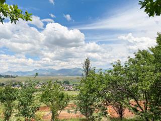 Collett House and Lavender Cottage - Clarens - 7