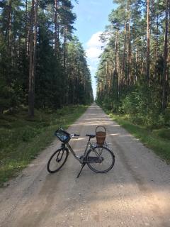 Łąckówka Mazury - Świętajno - 1