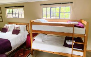 Collett House and Lavender Cottage - Clarens - 1