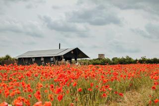 Finest Retreats - Foxley Lodge - Little Walsingham - 7