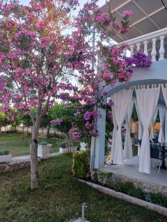 Villa Pera Apartment Gross - Vodice - 7