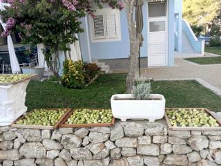 Villa Pera Apartment Gross - Vodice - 2