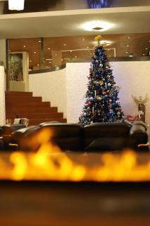 Style Hotel Grifone - Madonna di Campiglio - 2