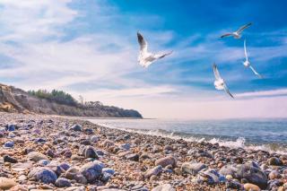 Bungalow MEER ODER WENIGER direkt am Strand - Dranske - 7