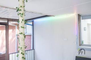 Vivid House in Baulkham Hills - Baulkham Hills - 2