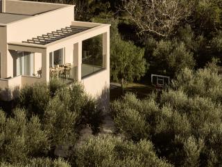 Hora Ionica Villa, 10acre of Endless Green, By ThinkVilla - Koukounariá - 3