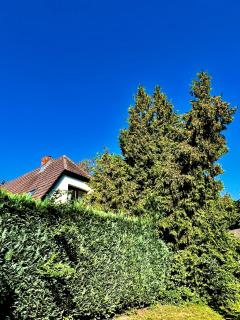 Haus am Berg 2 - Neuenkirchen - 7