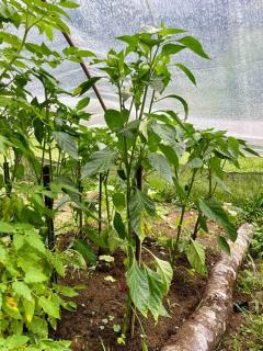 Casa Portal Sagrado Matutu- Aiuruoca MG - Aiuruoca - 2