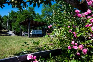 205 - Appartamento Ciliegio, Giardino e Piscina - Residence Cherry House - Carro - 2