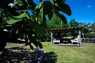 205 - Appartamento Ciliegio, Giardino e Piscina - Residence Cherry House - Carro - 1