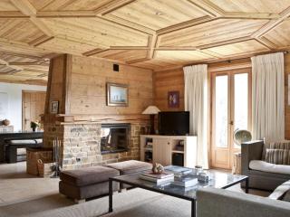 Superbe appartement avec cheminée et vue Mont-Blanc - FR-1-343-192 - Chamonix-Mont-Blanc - 0