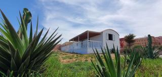 Camping wassay beach - Sidi Ouassay - 5