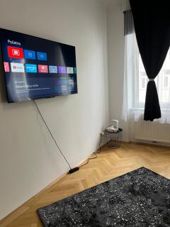 Anna Luxury Apartment - Vienna - 4