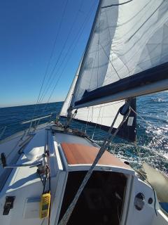 Le Nid Marin,Un Voilier Pour Deux Sète Vieux Port - Sète - 2