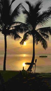 Romantic Beach Villas - General Luna - 3