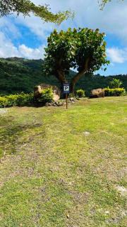 MOOREA Bungalow Kohimana avec vue lagon - Moorea - 1