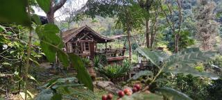 บ้านตะเกียง - - 3