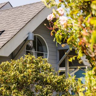 SCP Mendocino Coast Lodge - Albion - 4