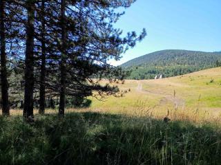 TORNIK MANOR apartments - 3