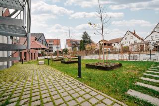 ZENtrahome - Zentral Business Outlet SmartTV Balkon - 3