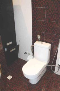 Tsiklauri Luxurious Apartment in the City Centre - Tbilisi - 4