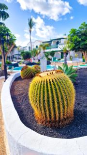 Un capricho - Puerto del Carmen - 5