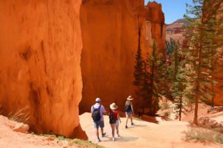 Angels Landing - Washington - 6