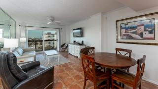 Oceanfront spectacular views with direct beach and pool access! - Ormond Beach - 8