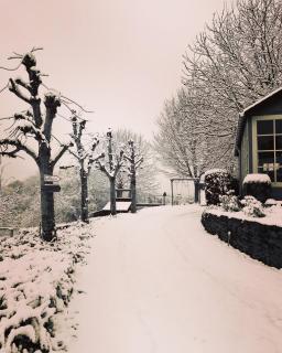 La Vieille Forge B&B - 6