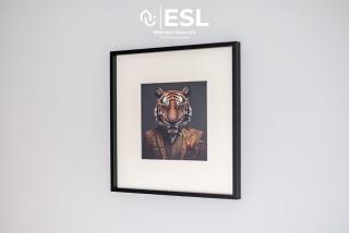 4 Bedroom House - Great for Group Stays - 4