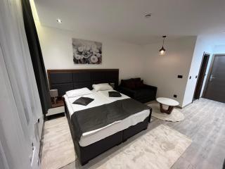 Apart Hotel & spa Zoned II, Kopaonik, apartman Lukač - special benifit Children up to 17 of age accompanied by two adutls staj for free! FREE PARKING! - 1