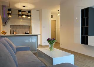 comfort Point - Gorzów Wielkopolski - 8