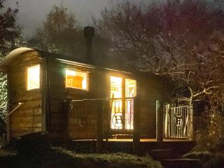 Bats About - Uk45788 - Millom - 8