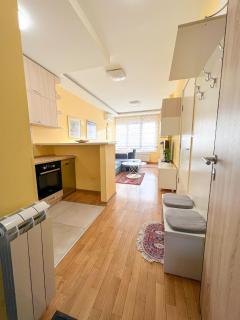 Mega Lux Apartment - Vračar (historical) - 9