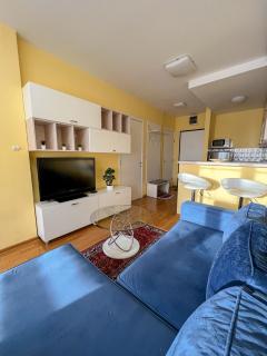 Mega Lux Apartment - Vračar (historical) - 3
