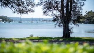 Quiet Waters Cottage - Hardys Bay - 9