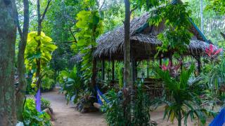Khmer Village Homestay - 0