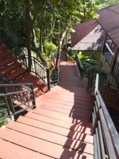 PawPaw Resort - Lamai - 6