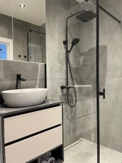 Dineikos apartamentai - Druskininkai - 8