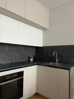 Dineikos apartamentai - Druskininkai - 4