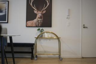 Cozy 3BR Apartment Walking Distance to GOMA - 8