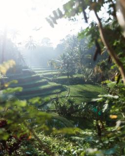 Arcada Bali Bamboo House - 6