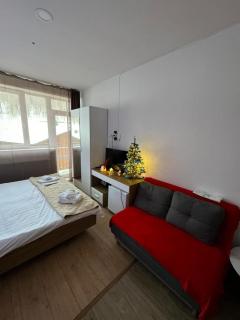 Apartment in Bakuriani - Bakuriani - 6